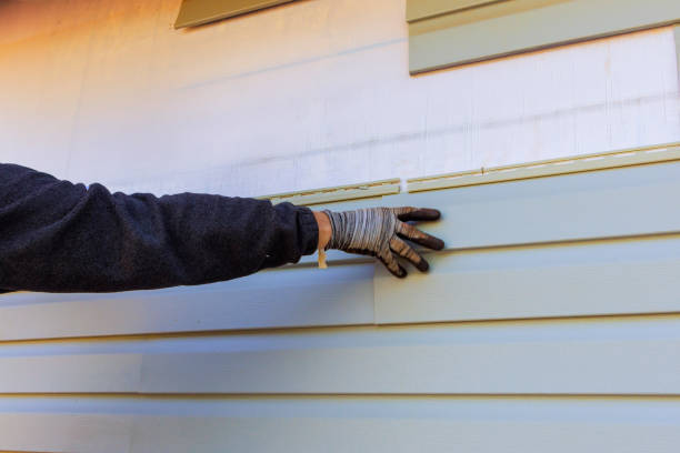 Best Vinyl Siding Installation  in Burt, MI